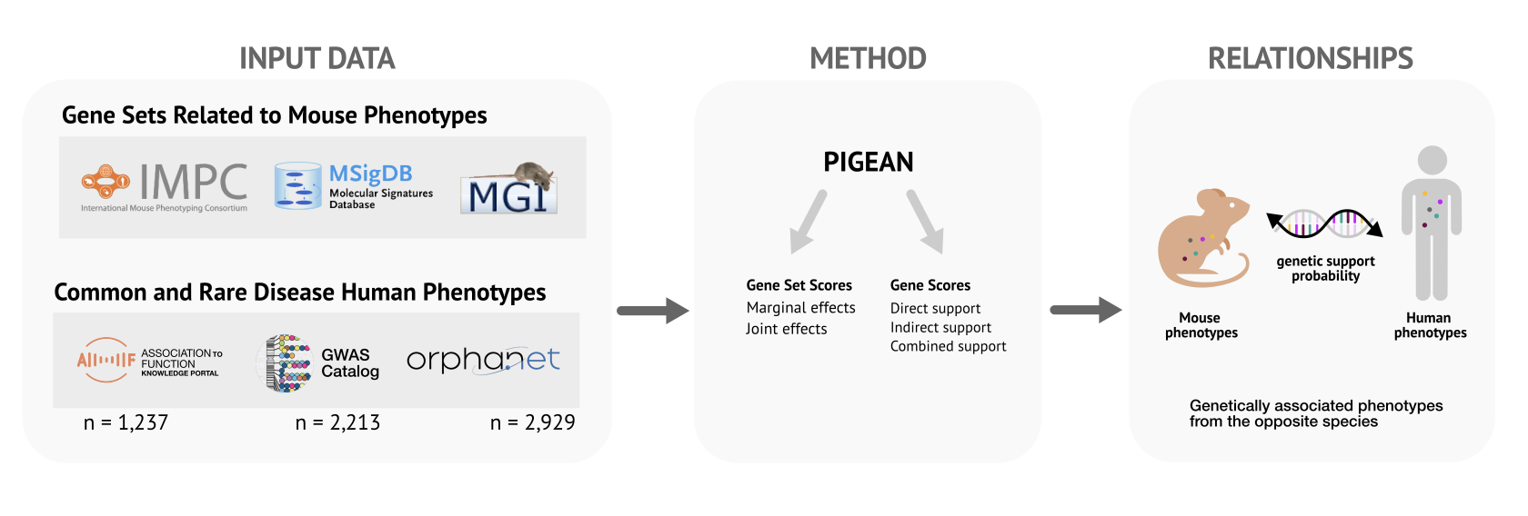 Phenotype Mouse Example Research | Common Metabolic Diseases Knowledge Portal